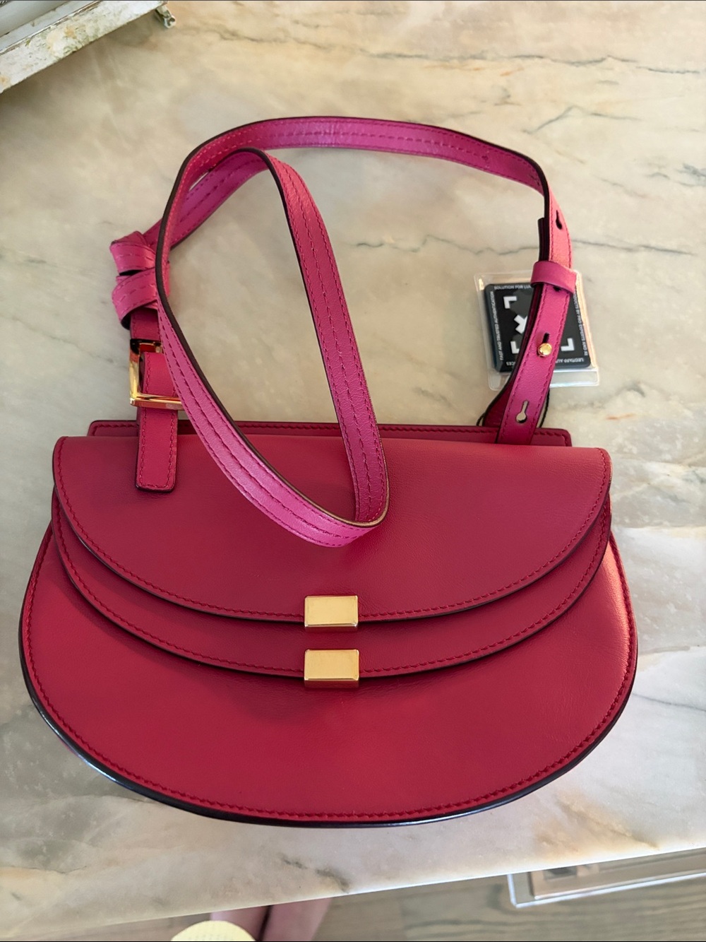 Authentic Chloe Georgia Women's Pink Leather saddlebag with Gold Accent